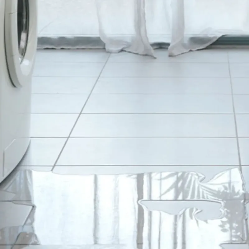 Appliance Leak Cleanup in Norton Shores, MI