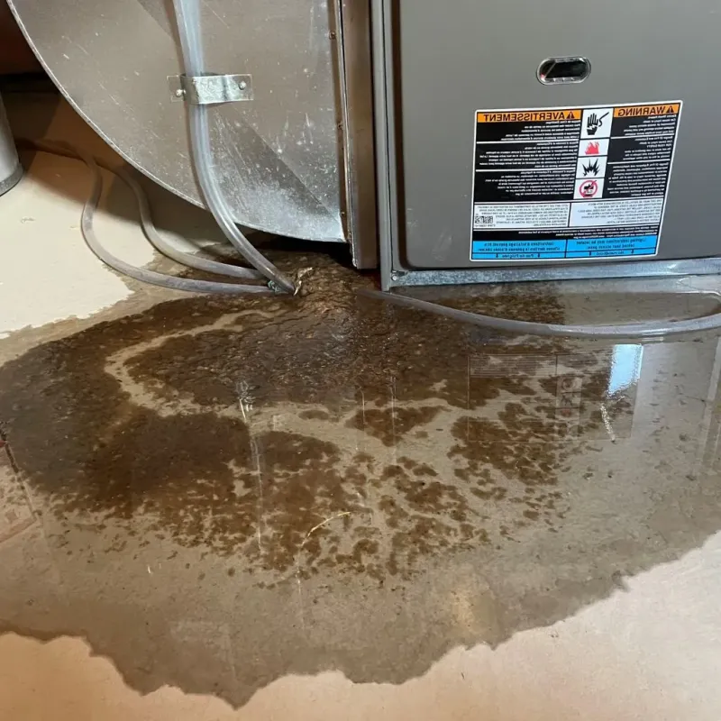 Pipe Burst and Leak Restoration in Norton Shores, MI