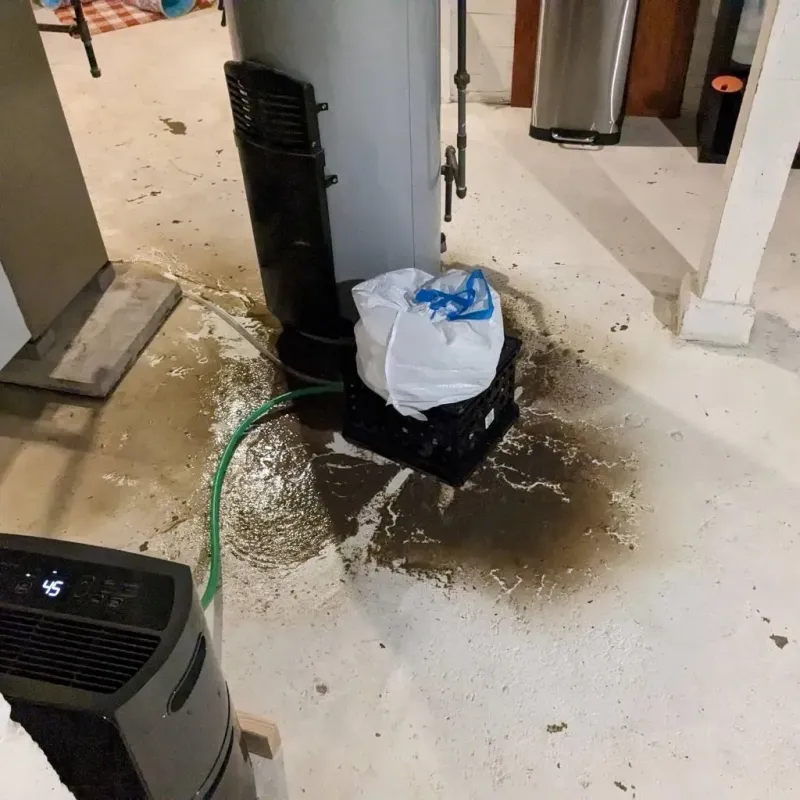 Sewage Backup Cleanup Service in Norton Shores, MI